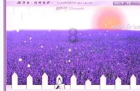 金牌保镖熊先生